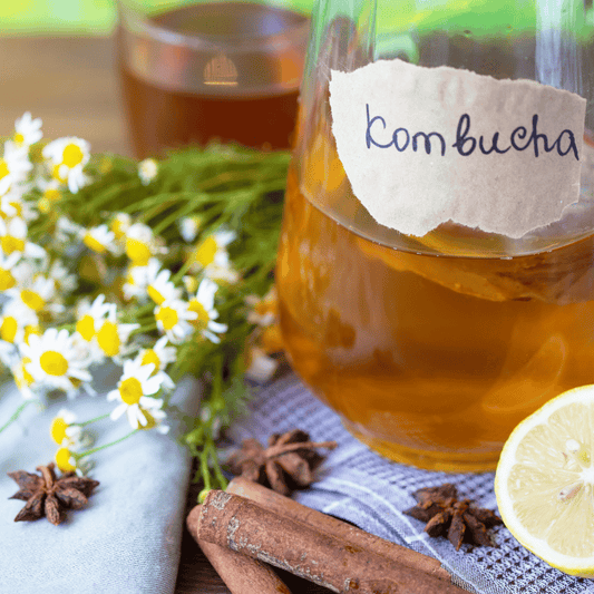 Maak zelf Kombucha