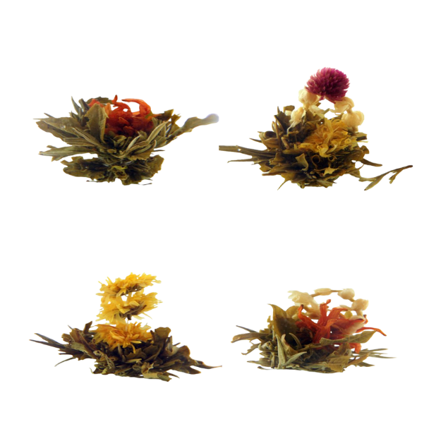 Collectie theebloemen