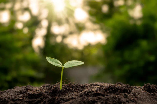 Koffiegruis hergebruiken